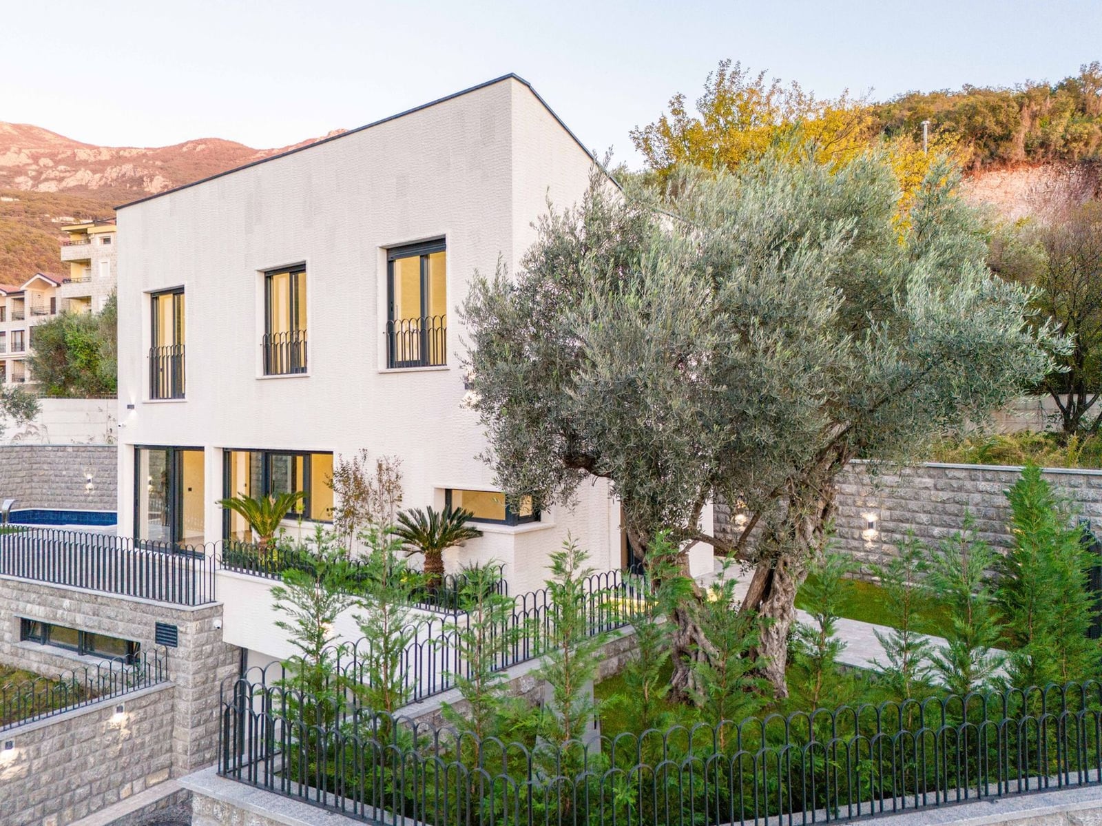 Villa moderne à Kamenovo, Monténégro : façade blanche, baies vitrées panoramiques, piscine et jardin avec un vieil olivier sur le terrain.