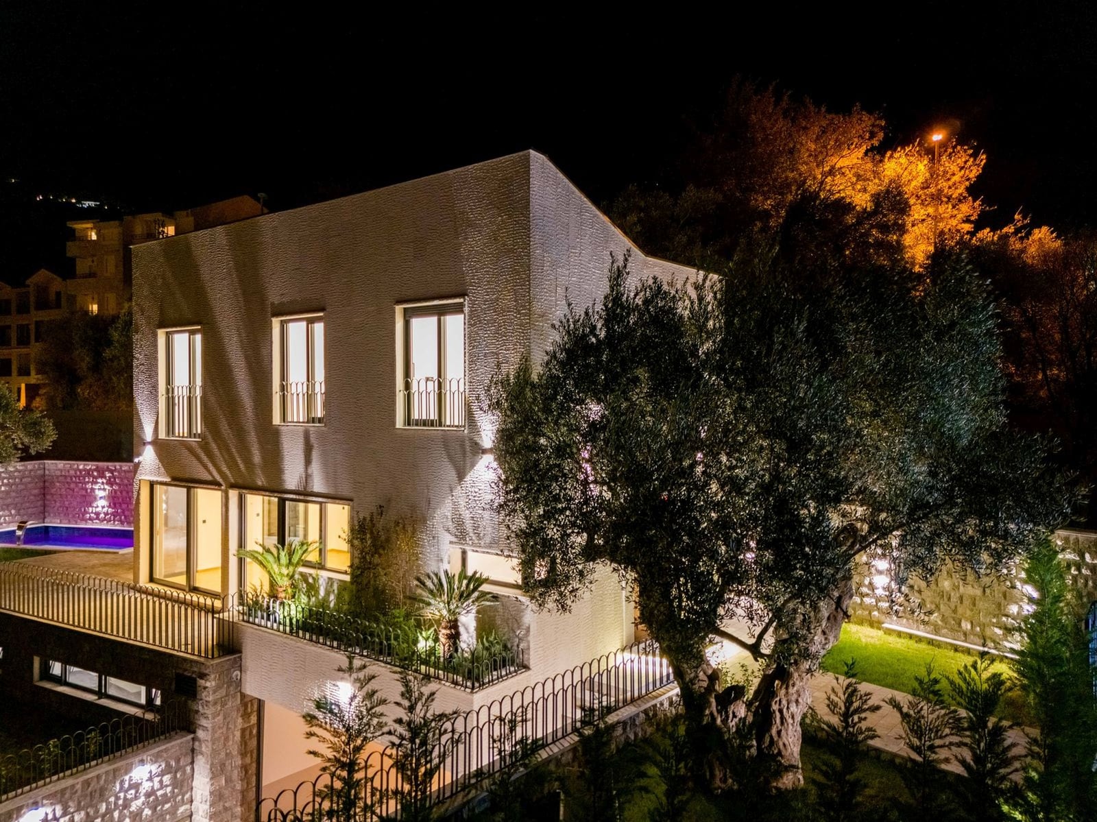 Villa moderne avec piscine et jardin à Kamenovo, Monténégro : vue nocturne sur la façade éclairée et un olivier.